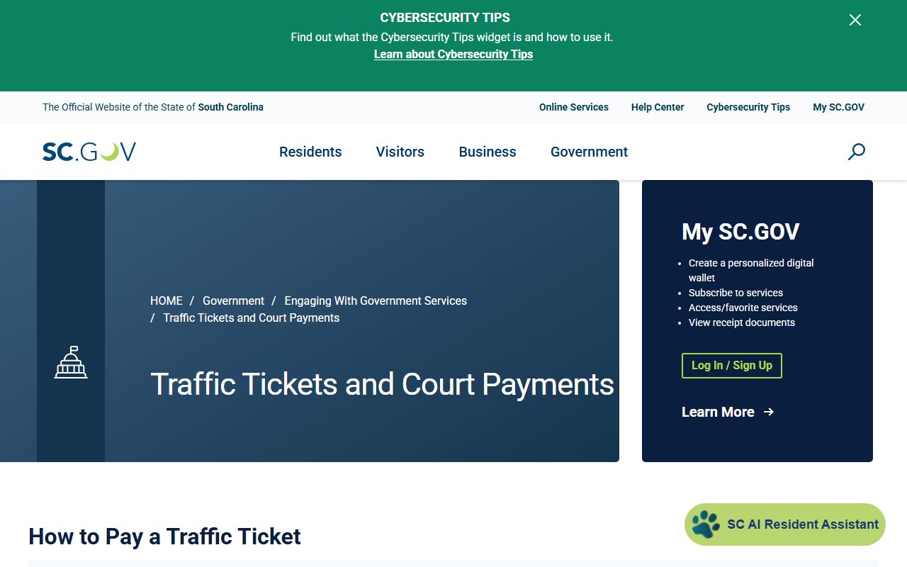 Lancaster County court dockets SC traffic ticket payments